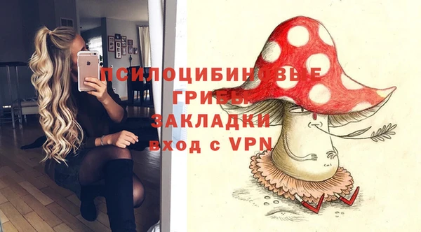apvp Абинск